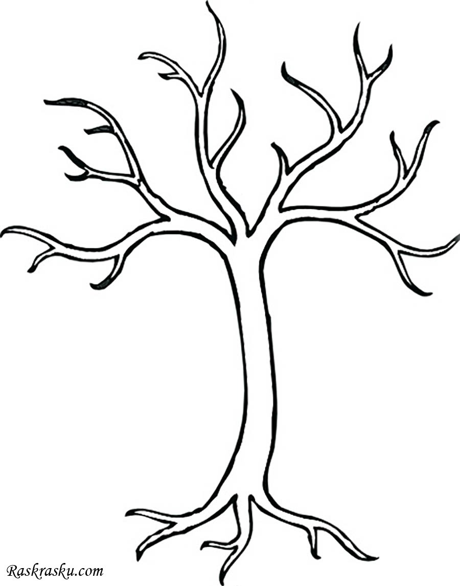 Дерево без листочков раскраска