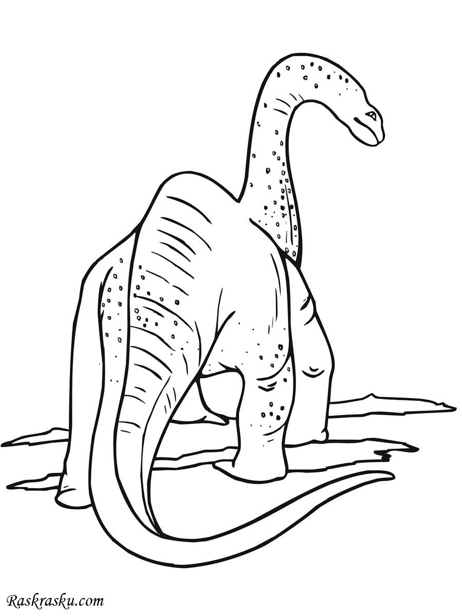 Динозавр брон раскраска
